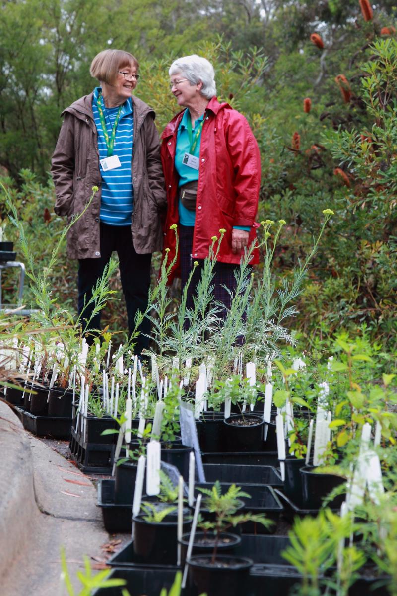 Setting out the plants at a Growing Friends plant sale